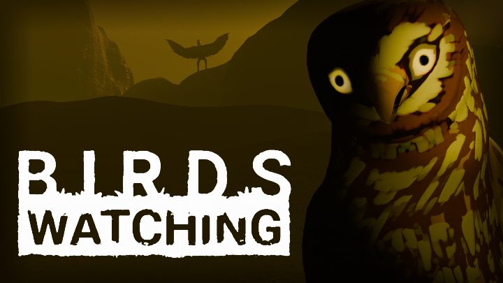 Birds Watching