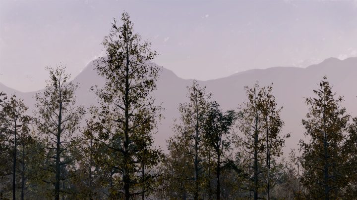 Deer Hunting Camp