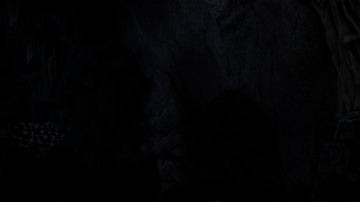 The Forest